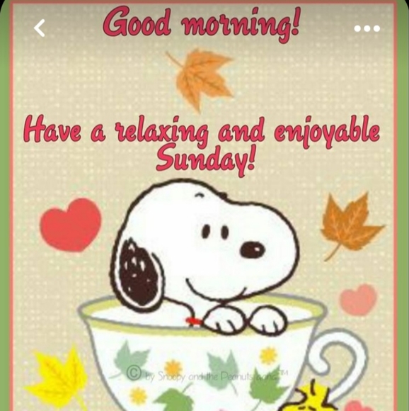 God Bless 9/11 🎉🙏  🎆🥳🗯🎇 - Picture 2 of 11